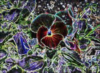 ART0407.jpg