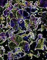 ART0405.jpg
