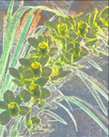 ART0403.jpg