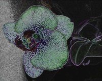 ART0401.jpg