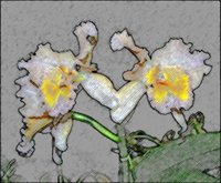ART0396.jpg