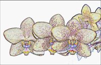 ART0395.jpg