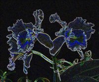 ART0394.jpg
