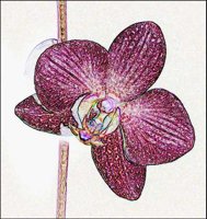 ART0393.jpg