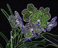 ART0392.jpg