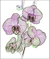 ART0391.jpg