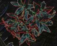 ART0387.jpg