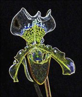 ART0386.jpg
