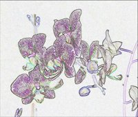 ART0381.jpg