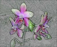 ART0380.jpg