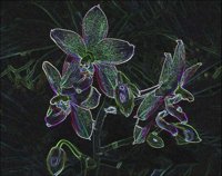ART0379.jpg