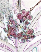 ART0376.jpg