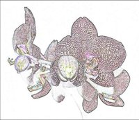 ART0374.jpg