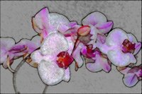 ART0371.jpg