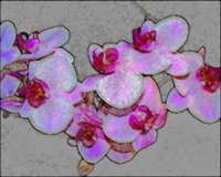 ART0370.jpg