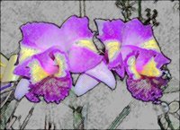 ART0367.jpg