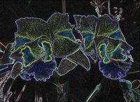 ART0366.jpg