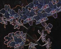 ART0362.jpg