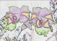 ART0359.jpg