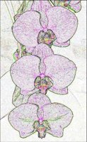 ART0357.jpg