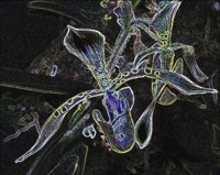 ART0351.jpg