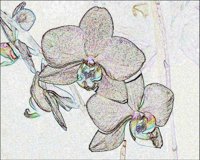 ART0349.jpg