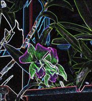 ART0348.jpg