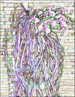 ART0346.jpg