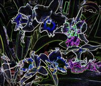 ART0342.jpg