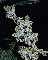 ART0341.jpg