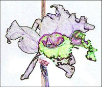 ART0340.jpg