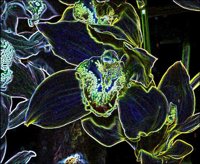 ART0335.jpg