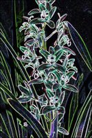 ART0332.jpg