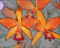 ART0330.jpg