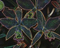 ART0329.jpg