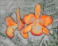 ART0328.jpg