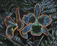 ART0327.jpg