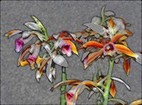 ART0325.jpg