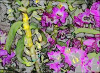 ART0323.jpg