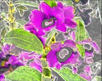 ART0321.jpg