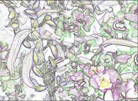 ART0320.jpg