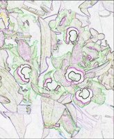 ART0319.jpg