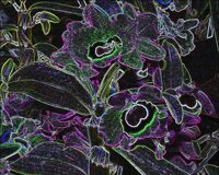 ART0318.jpg