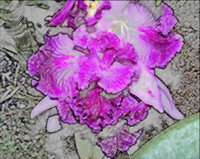 ART0317.jpg