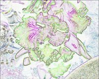 ART0316.jpg