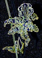 ART0313.jpg