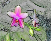 ART0310.jpg