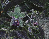 ART0309.jpg
