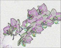 ART0305.jpg
