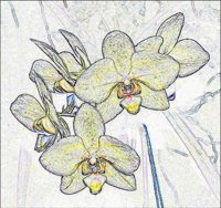 ART0303.jpg